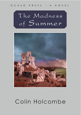 madness of summer novel book cover